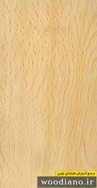 انواع چوب,wood types,انواع چوب در ایران,انواع چوب طبیعی, انواع چوب مصنوعی,انواع چوب ایرانی,انواع چوب خارجی,انواع چوب پهن برگ,انواع چوب سوزنی برگ,کاربرد انواع چوب,خواص انواع چوب,ویژگی های انواع چوب, مقاومت انواع چوب,رنگ انواع چوب,چگالی انواع چوب,وزن انواع چوب, سختی انواع چوب,شکنندگی انواع چوب, استحکام انواع چوب, اسم انواع چوب,لیست انواع چوب,جدول انواع چوب,انواع چوب ها,گونه های چوب,نوع چوب,قیمت چوب ,خرید چوب, خرید چوب درجه یک, بازار چوب خاوران, اسم چوب, اسم علمی چوب, نام تجاری چوب, صنایع چوب,رشته صنایع چوب, صنایع چوب فنی و حرفه ای, رشته دانشگاهس صنایع چوب ,کتاب چوب شناسی,چوب شناسی, جزوه چوب شناسی,مشخصات چوب ها, شناخت چوب, بهترین چوب,ضعیف ترین چوب,قوی ترین چوب,بدترین چوب,چوب سمی,چوب معطر,چوب زیبا,زیباترین چوب,چوب طبیعی,بازار چوب,خرید اینترنتی چوب نام چوب ها به فارسی,چوب آبنوس,چوب آکاژو آفریقایی, چوب آکاژو کوبا ,چوب ماهاگونی,چوب اکومه,چوب افرای شبه چناری,چوب افرا کرب, چوب افرا کرکف, چوب افرای قندی, چوب افرای شیردار , چوب بلند مازو, چوب بلوط, چوب توسکا, چوب چنار, چوب راش ایران, چوب راش اروپا, چوب زبان گنجشک ,چوب ون, ,چوب سپیدار,چوب غان,چوب گردو, چوب گلابی,چوب ملچ, چوب نمدار, چوب بارانک, چوب اقاقیا, چوب انجیلی, چوب تبریزی, چوب شمشاد,چوب زغال اخته,چوب ممرز,چوب عرعر,چوب بید,چوب ساپلی, چوب صنوبر لرزان, چوب زیتون, چوب عنبرسائل, چوب ارس ویرجینیا, چوب درخت لاله,چوب کاج مطبق,چوب ماکوره, چوب لیمبا, چوب مرانتی, چوب اکالیپتوس, چوب بالزا, چوب تک تیک, چوب گایاک, چوب نراد, چوب ساپن, چوب روسی, چوب آپیسه آ ,چوب نوئل, چوب تاکسدیوم, چوب سرخدار, چوب کاج الدار ,چوب کاج تهران, چوب کاج سیاه,چوب کاج پروتسیا, چوب کاج جنگلی, چوب سدر لبنان, چوب سرو خمره ای , چوب نوش , چوب لاریکس ,چوب ملز, چوب زربین ,چوب سور, نام علمی چوب به انگلیسی, , Diospyros Spp., Khaya ivorensis, Swietenia mahagoni, Aucoumea klaineana, Acer pseudoplatanus, Acer campestris, Acer platanoides, Acer sacharum, Acer leatum, Quercus castaneafoliaQuercus Pedonculata , Q. Sessiliflora, Alnus subcordata , Alnus glutinosa , platanus orientalis, Fagus orientalis, Fagus sylvatica, Fraxinus excelsior, Populus alba, Betula Spp., Juglans regia, Pyrus communism, Ulmus compestris, Tilia rubra, Sorbus torminalis, Robinia Pseudoacacia, Parrotia persica, Populus nigra Buxus semperviren, , Cornu mas, Carpinus betulus, Ailantus glandulosa, Salix alba, Entandrophragma, Populus tremula, Olea europea, Liquidambar styraciflua, Juniperus virginiana, Liriodendron tulipifera, Araucaria angustifolia, Dumoria heckelii, Terminalia superba, Shrea Spp., Eucalyptus Spp. Ochromea lagopu, , Tectona grandis, Gvajacum officinale, Abies pectinate, Picea excels, Taxodium distichum, Taxus bacata, Pinus eldarica, Pinus nigra, Pinus brutia, Pinus sylvestris, Cedrus libanotica, Thuja plicata, Larix europea, Cupressus sempervirens
